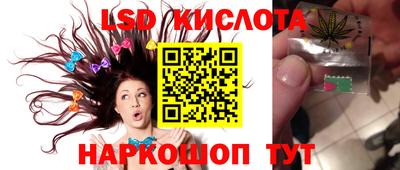 кокс Аша