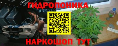 кокс Аша