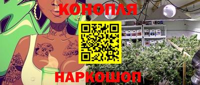 кокс Аша